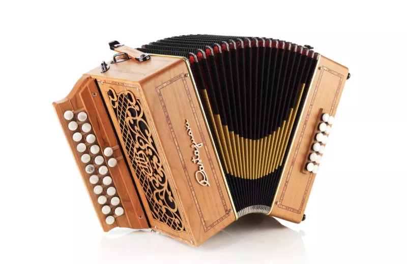 Accordéon diatonique Castagnari Alain 12