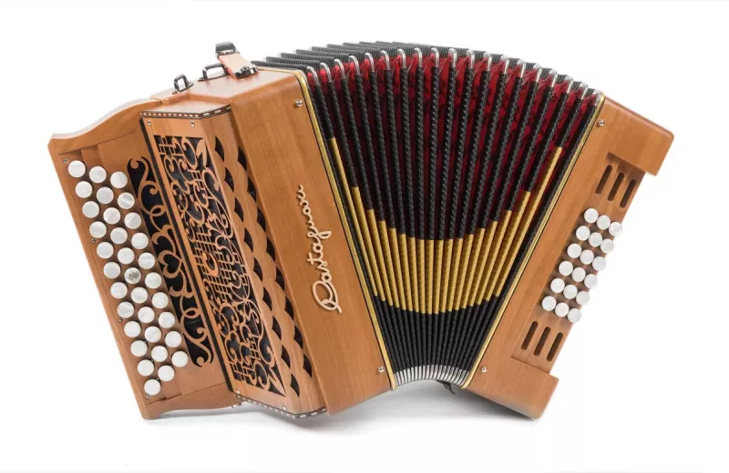 Accordéon diatonique Castagnari Matris