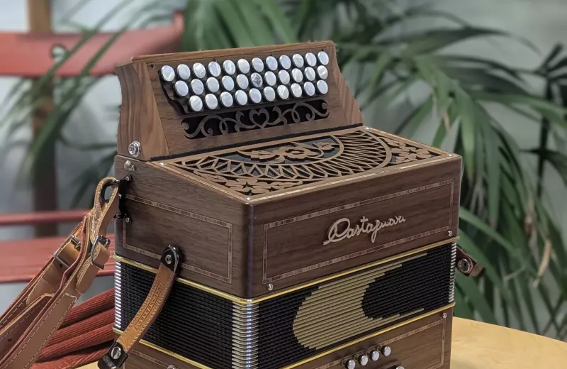Accordéon diatonique Castagnari Rik
