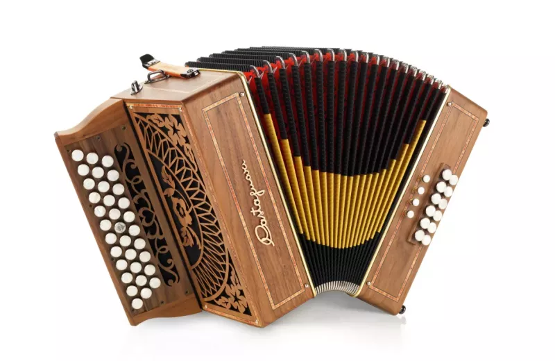 Accordéon diatonique Castagnari RIK