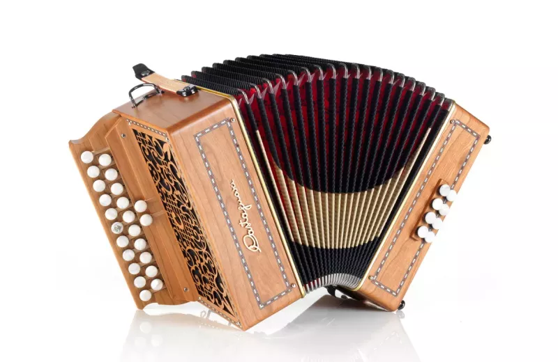 Accordéon diatonique Castagnari Stefania